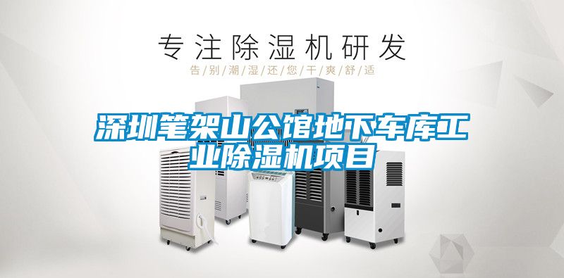深圳筆架山公館地下車(chē)庫(kù)工業(yè)除濕機(jī)項(xiàng)目