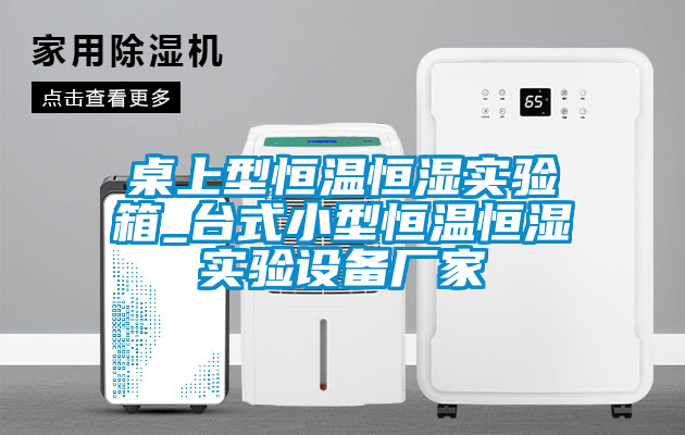 桌上型恒溫恒濕實(shí)驗(yàn)箱_臺式小型恒溫恒濕實(shí)驗(yàn)設(shè)備廠家