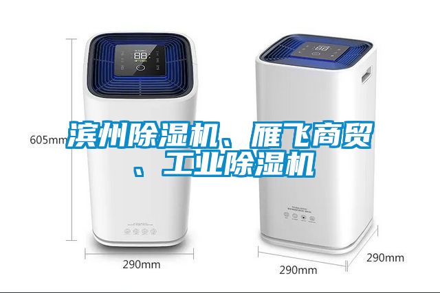 濱州除濕機、雁飛商貿、工業除濕機