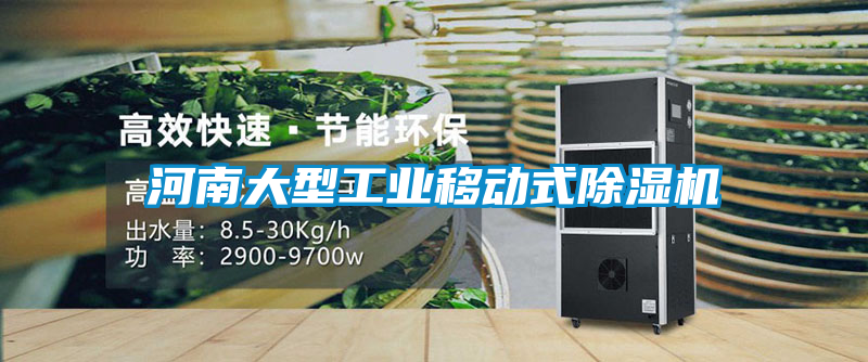 河南大型工業移動式除濕機