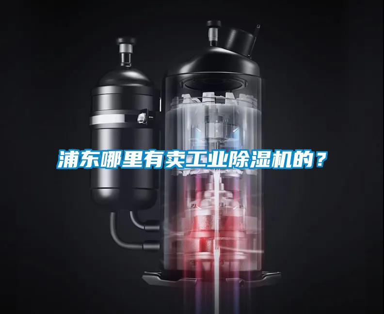 浦東哪里有賣工業(yè)除濕機(jī)的？