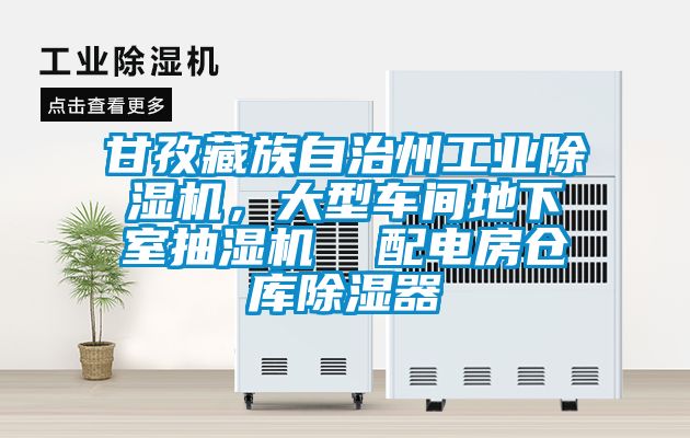甘孜藏族自治州工業(yè)除濕機(jī)，大型車間地下室抽濕機(jī)  配電房倉庫除濕器