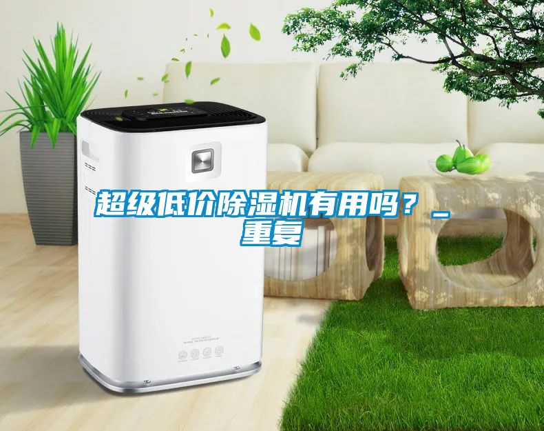 超級低價除濕機有用嗎？_重復