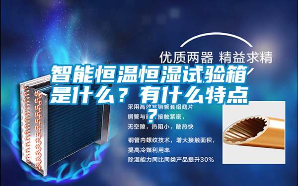 智能恒溫恒濕試驗箱是什么？有什么特點？