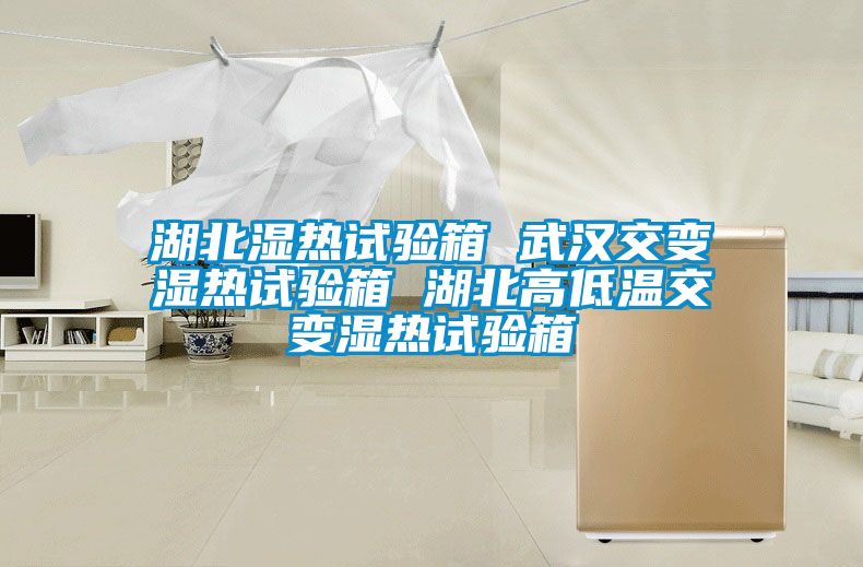 湖北濕熱試驗(yàn)箱 武漢交變濕熱試驗(yàn)箱 湖北高低溫交變濕熱試驗(yàn)箱
