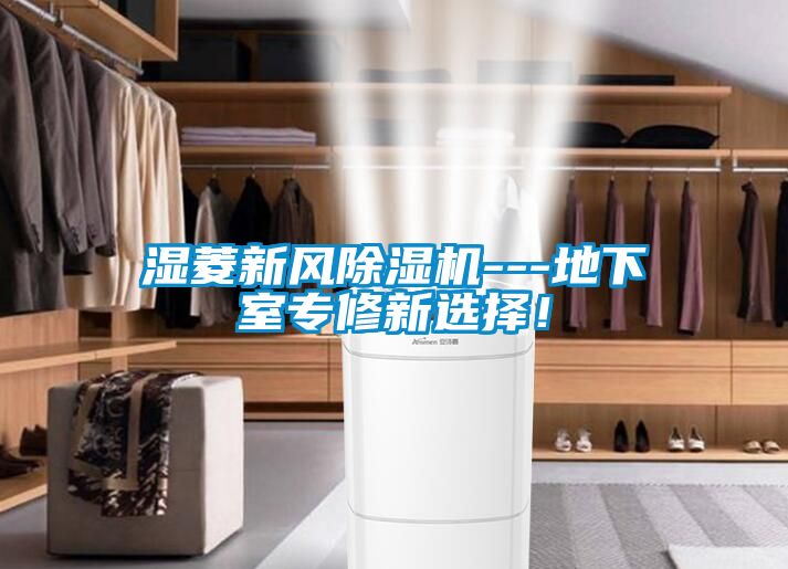 濕菱新風(fēng)除濕機---地下室專修新選擇！