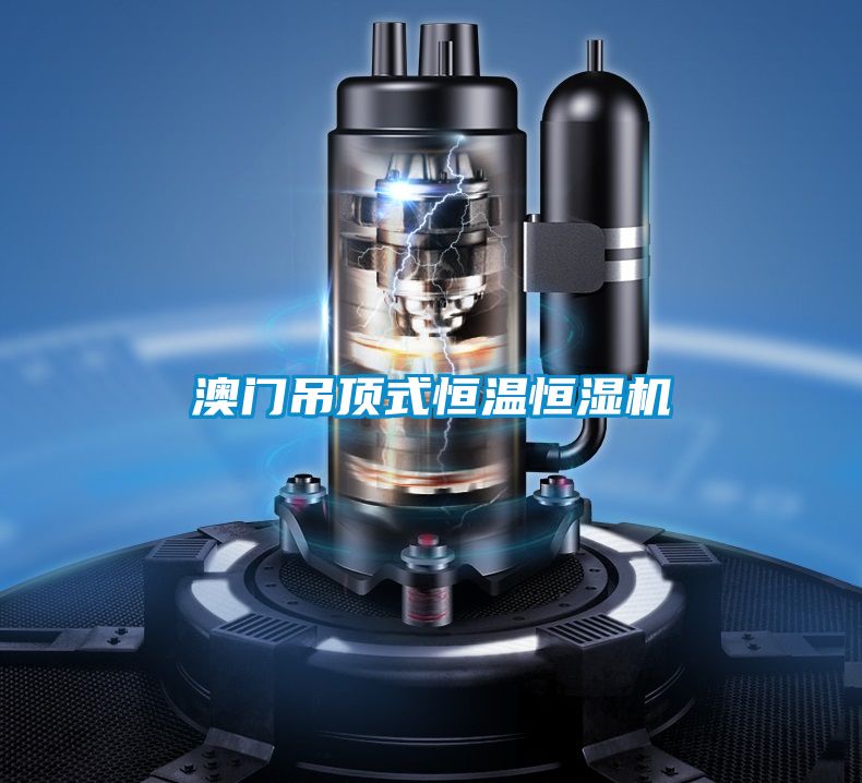 澳門吊頂式恒溫恒濕機(jī)