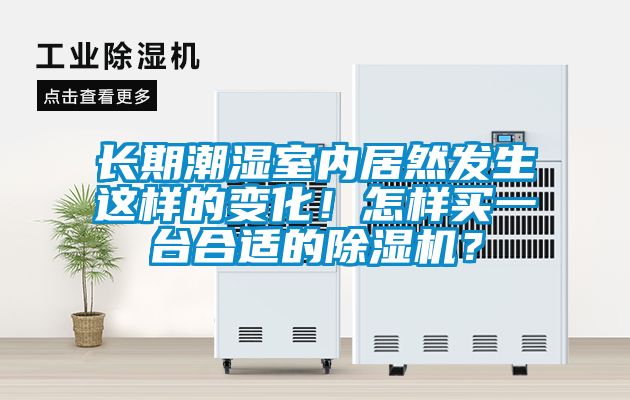 長期潮濕室內居然發生這樣的變化！怎樣買一臺合適的除濕機？