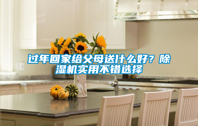 過(guò)年回家給父母送什么好？除濕機(jī)實(shí)用不錯(cuò)選擇