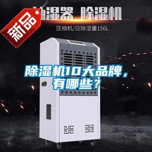 除濕機10大品牌，有哪些？