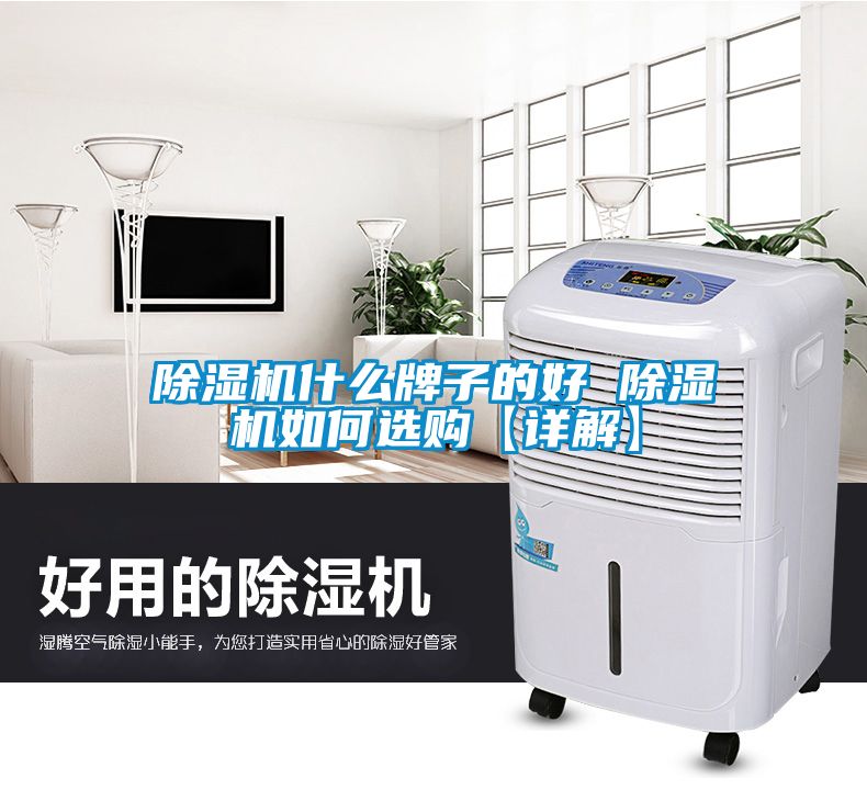 除濕機(jī)什么牌子的好 除濕機(jī)如何選購(gòu)【詳解】