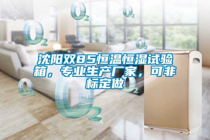 沈陽雙85恒溫恒濕試驗箱，專業生產廠家，可非標定做
