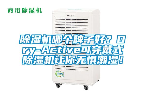 除濕機哪個牌子好？Dry-Active可穿戴式除濕機讓你無懼潮濕！
