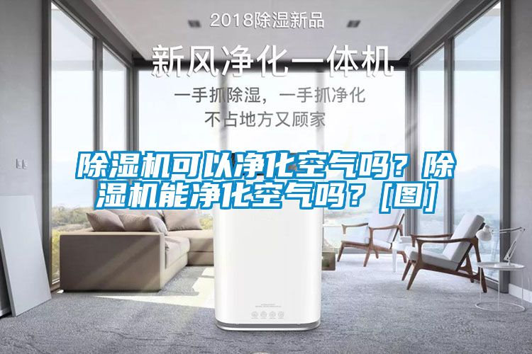 除濕機可以凈化空氣嗎？除濕機能凈化空氣嗎？[圖]
