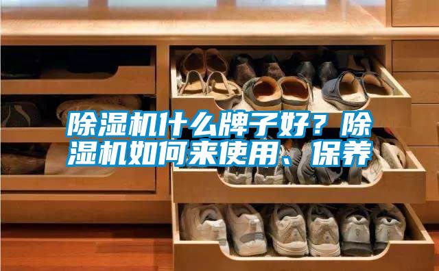 除濕機(jī)什么牌子好？除濕機(jī)如何來使用、保養(yǎng)