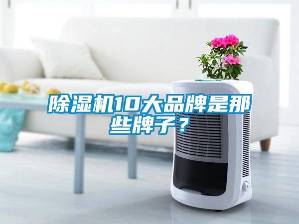 除濕機10大品牌是那些牌子？