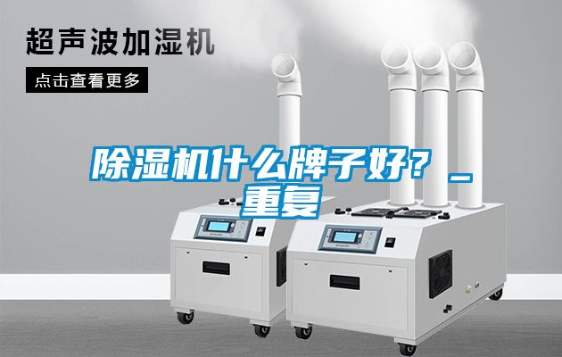 除濕機什么牌子好？_重復