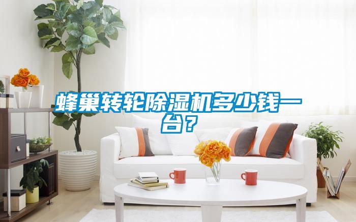 蜂巢轉輪除濕機多少錢一臺？