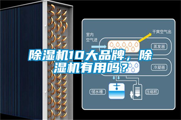 除濕機10大品牌，除濕機有用嗎？