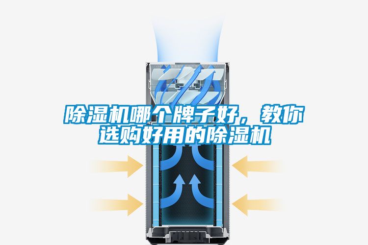 除濕機(jī)哪個(gè)牌子好，教你選購(gòu)好用的除濕機(jī)