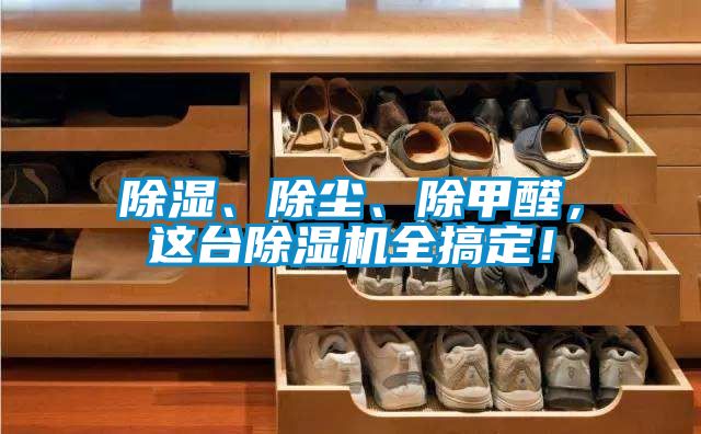 除濕、除塵、除甲醛，這臺(tái)除濕機(jī)全搞定！