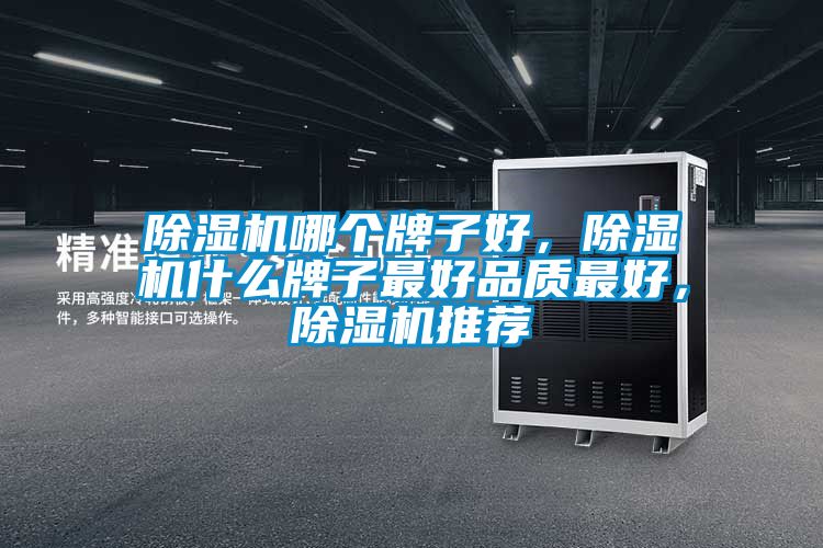 除濕機哪個牌子好，除濕機什么牌子最好品質最好，除濕機推薦