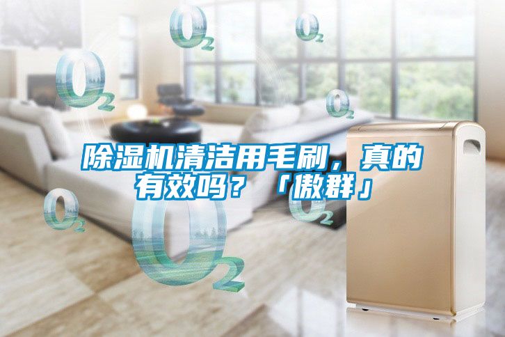 除濕機(jī)清潔用毛刷，真的有效嗎？「傲群」