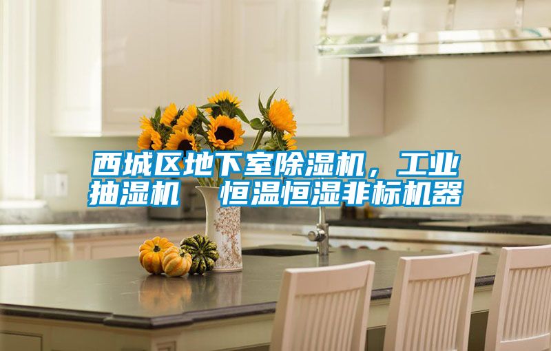 西城區(qū)地下室除濕機，工業(yè)抽濕機  恒溫恒濕非標機器