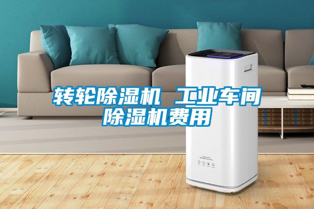 轉(zhuǎn)輪除濕機(jī) 工業(yè)車間除濕機(jī)費用