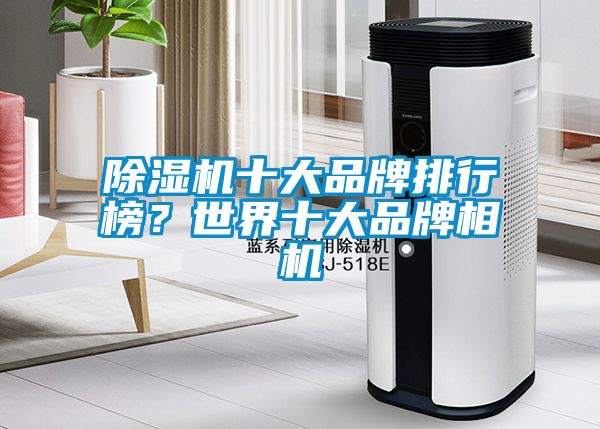除濕機(jī)十大品牌排行榜？世界十大品牌相機(jī)