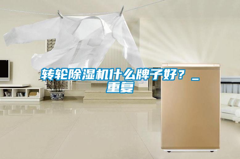 轉(zhuǎn)輪除濕機什么牌子好？_重復(fù)