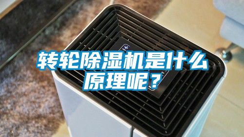 轉(zhuǎn)輪除濕機是什么原理呢？