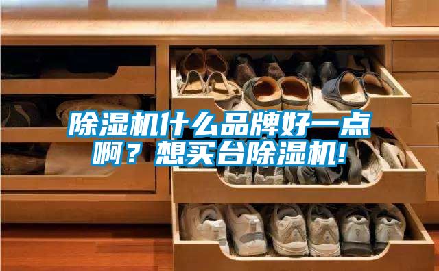 除濕機什么品牌好一點?。肯胭I臺除濕機!