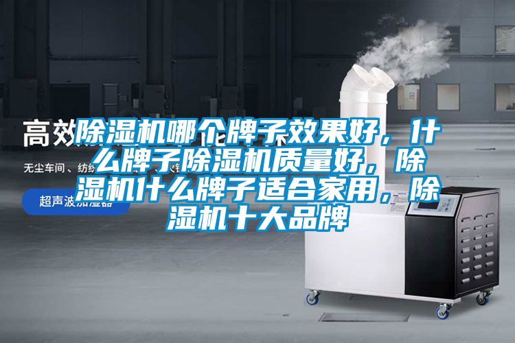 除濕機(jī)哪個牌子效果好，什么牌子除濕機(jī)質(zhì)量好，除濕機(jī)什么牌子適合家用，除濕機(jī)十大品牌