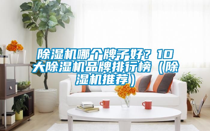 除濕機哪個牌子好？10大除濕機品牌排行榜（除濕機推薦）