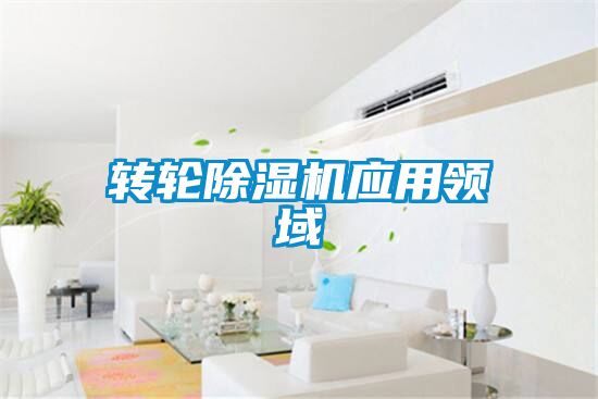 轉(zhuǎn)輪除濕機應(yīng)用領(lǐng)域