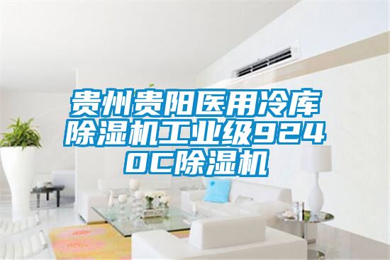 貴州貴陽(yáng)醫(yī)用冷庫(kù)除濕機(jī)工業(yè)級(jí)9240C除濕機(jī)