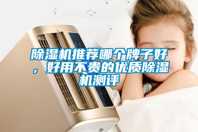 除濕機推薦哪個牌子好，好用不貴的優(yōu)質(zhì)除濕機測評