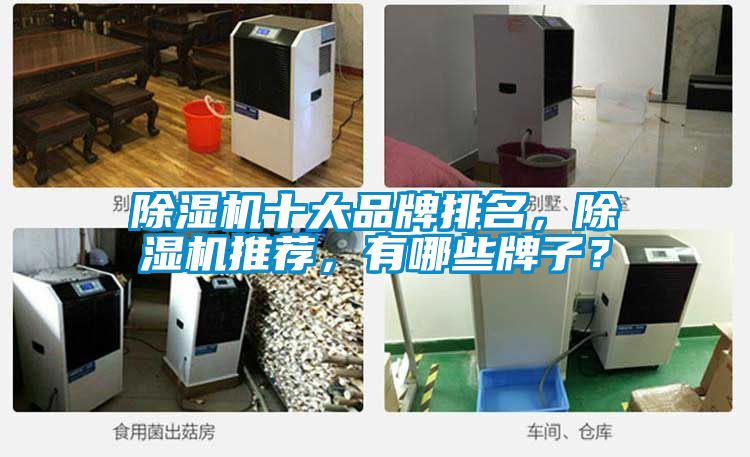 除濕機十大品牌排名，除濕機推薦，有哪些牌子？