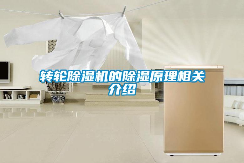 轉(zhuǎn)輪除濕機(jī)的除濕原理相關(guān)介紹