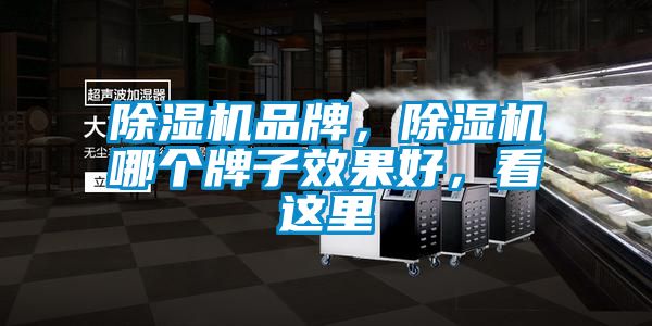 除濕機(jī)品牌，除濕機(jī)哪個(gè)牌子效果好，看這里