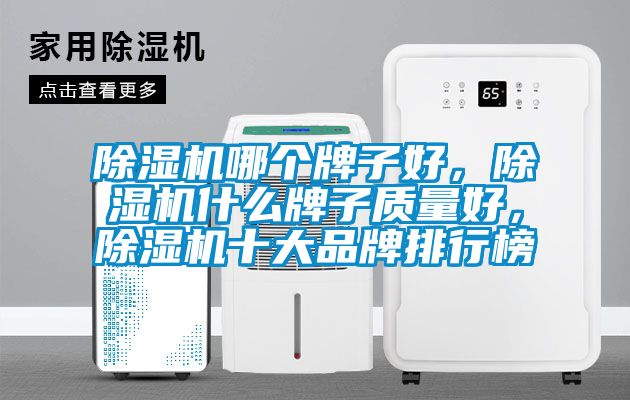 除濕機哪個牌子好，除濕機什么牌子質量好，除濕機十大品牌排行榜