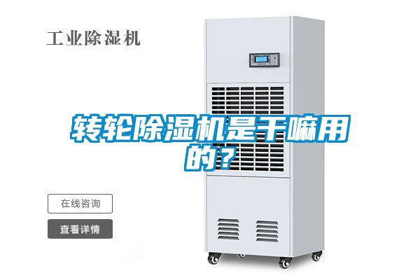 轉(zhuǎn)輪除濕機是干嘛用的？