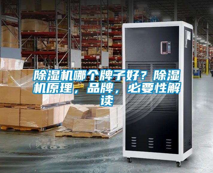 除濕機哪個牌子好？除濕機原理，品牌，必要性解讀
