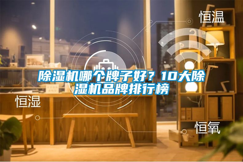 除濕機哪個牌子好？10大除濕機品牌排行榜