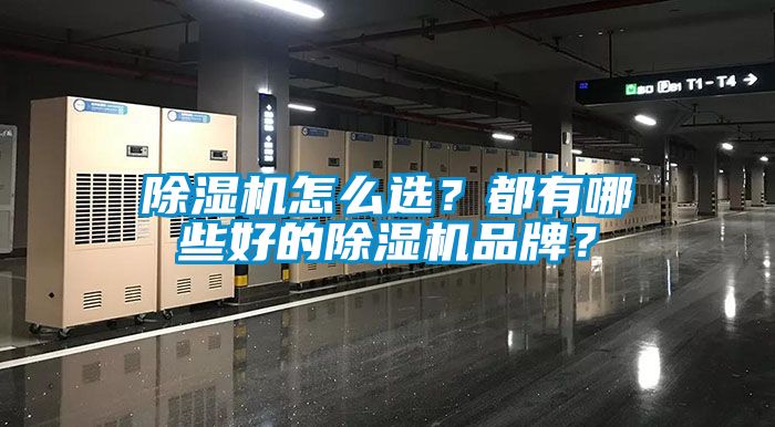除濕機(jī)怎么選？都有哪些好的除濕機(jī)品牌？