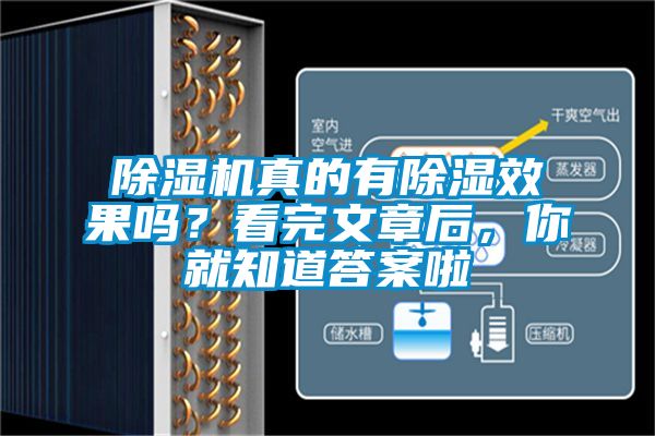 除濕機真的有除濕效果嗎？看完文章后，你就知道答案啦
