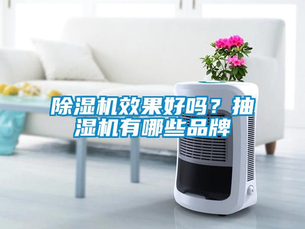 除濕機效果好嗎？抽濕機有哪些品牌