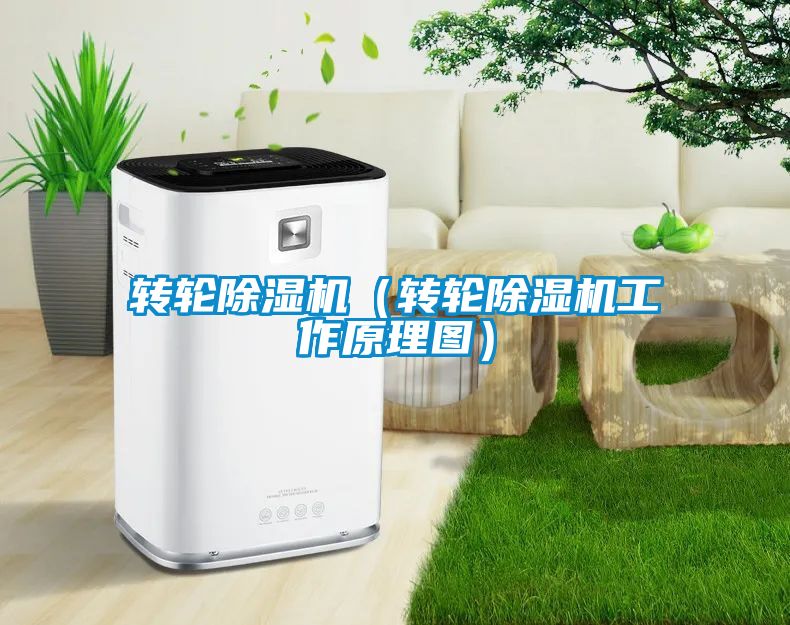轉(zhuǎn)輪除濕機（轉(zhuǎn)輪除濕機工作原理圖）