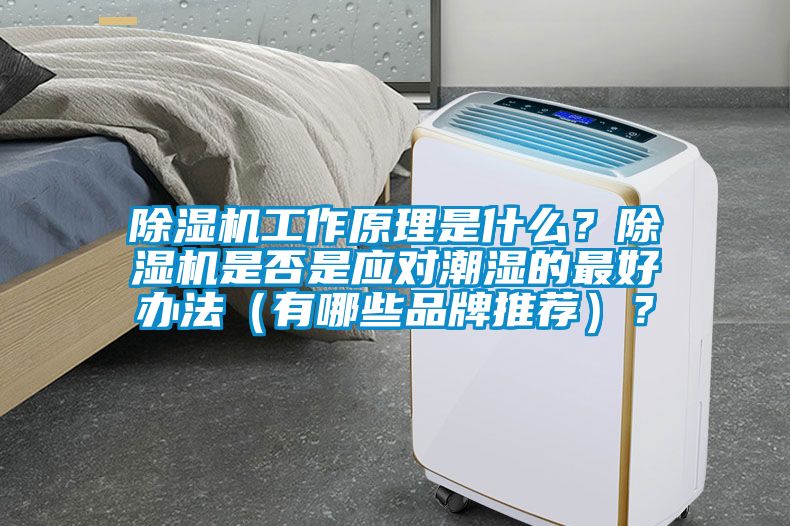 除濕機(jī)工作原理是什么？除濕機(jī)是否是應(yīng)對(duì)潮濕的最好辦法（有哪些品牌推薦）？